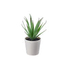 Clay Plant Pot